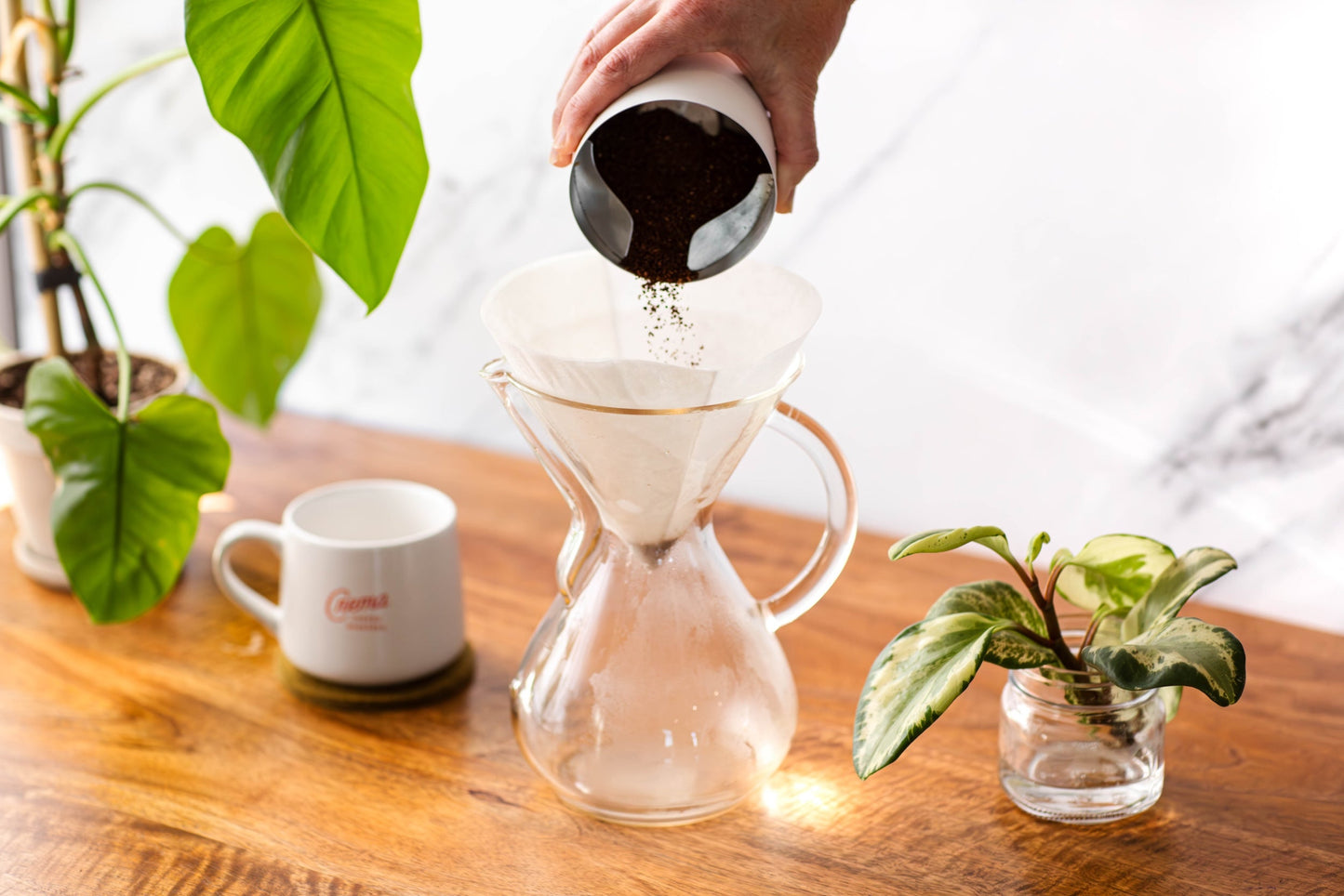 chemex with ground coffee being poured into it surrounded by some greenery