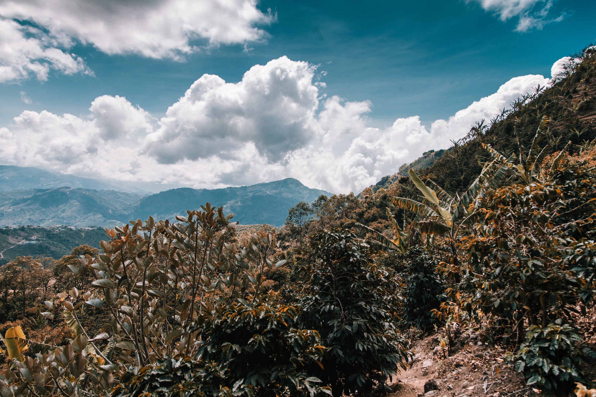 Origin Trip 2016: Costa Rica and Panama