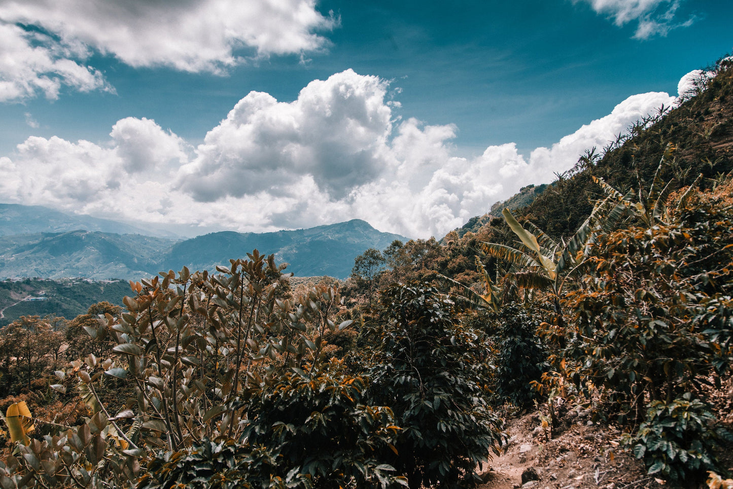 Origin Trip 2016: Costa Rica and Panama